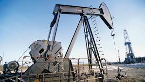 Nigeria Holds Pre-Bid Conference for 2025 Oil and Gas Licensing Round